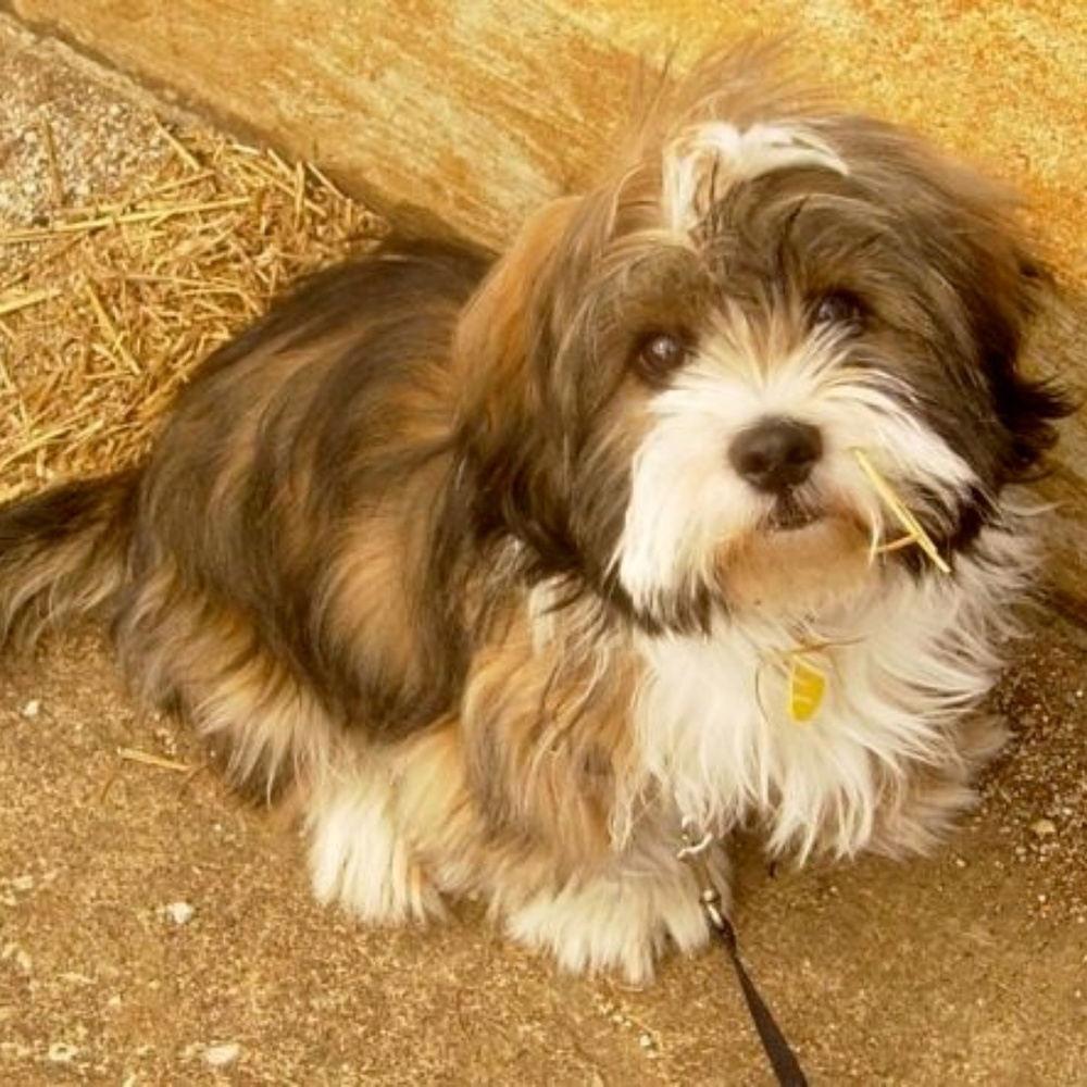 Meet your Posher, Audrey